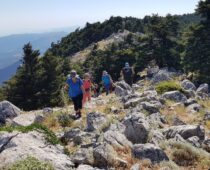 Κιθαιρώνας 24.05.2020
