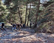 Παρνασσός – Κωρύκειο Άντρο 21.11.2021