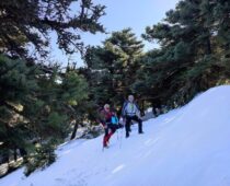 Κιθαιρώνας 06.02.2022