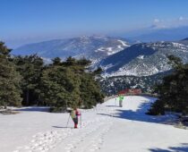 Κιθαιρώνας 06.02.2022